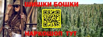 Альфа ПВП Дубна