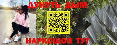 Альфа ПВП Дубна