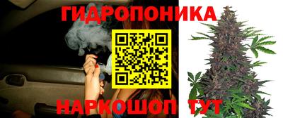 бошки Славгород