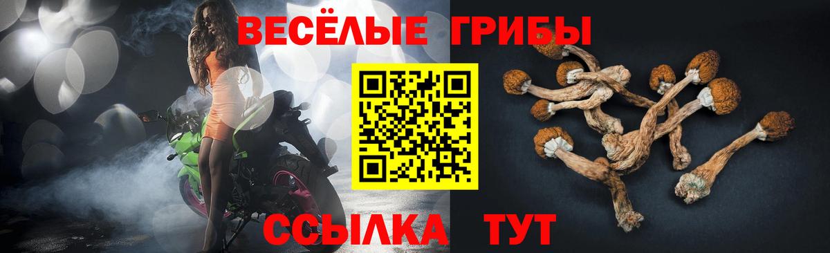 Псилоцибиновые грибы прущие грибы  Вход с VPN  Орехово-Зуево  Псилоцибиновые грибы ЛСД 